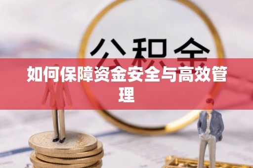 通许如何保障资金安全与高效管理