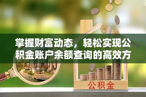 通许掌握财富动态，轻松实现公积金账户余额查询的高效方法