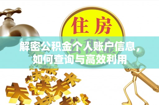 通许解密公积金个人账户信息，如何查询与高效利用