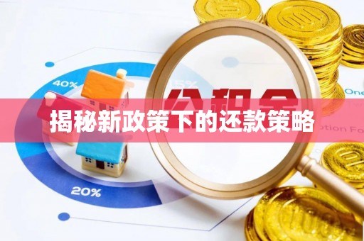 通许揭秘新政策下的还款策略
