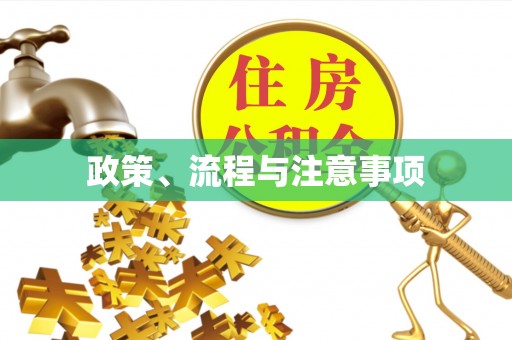 通许政策、流程与注意事项