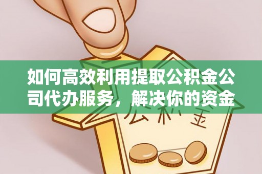 通许如何高效利用提取公积金公司代办服务，解决你的资金难题