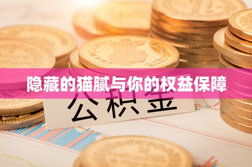 通许隐藏的猫腻与你的权益保障