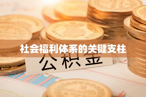 通许社会福利体系的关键支柱