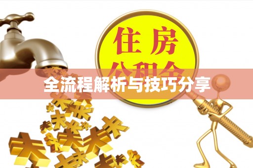 通许全流程解析与技巧分享