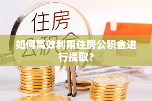 通许如何高效利用住房公积金进行提取？