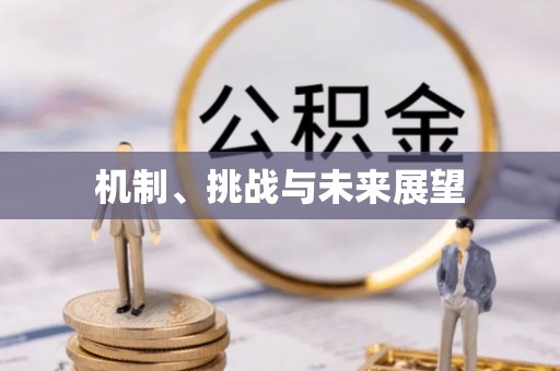 通许机制、挑战与未来展望